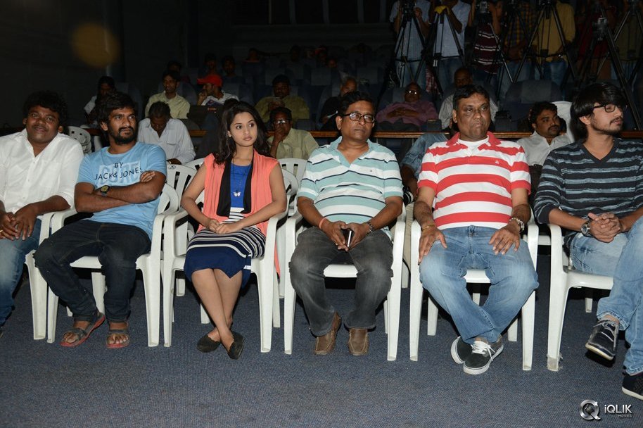 Seethamma-Andaalu-Raamayya-Sithraalu-Movie-Success-Meet